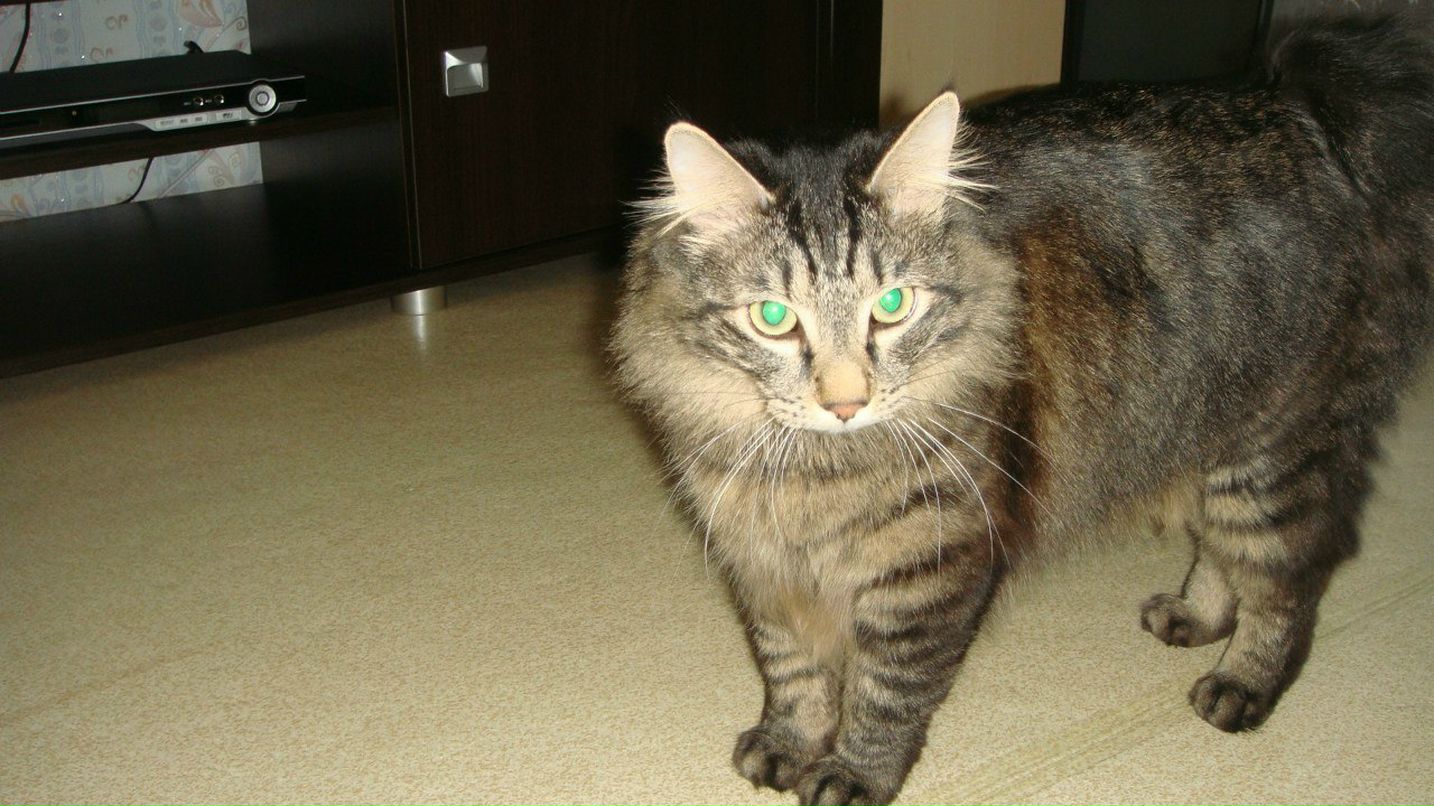 Айгуль Гилязева | Набережные Челны