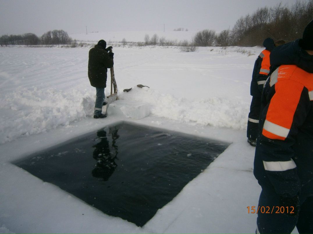 Василий Королев | Вожега