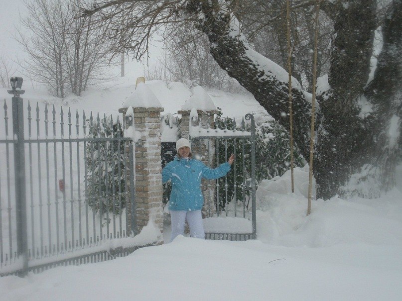 Ольга Амельянчик | Ancona