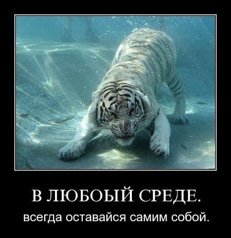 Владимир Филиппов владиславович | Якутск