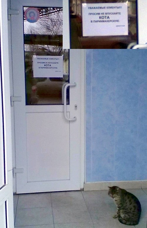 Евгений Титов | Санкт-Петербург