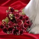 №99, Наталья Раджабова, 52 года, Беломорск №99, Наталья Раджабова, 52 года, Беломорск