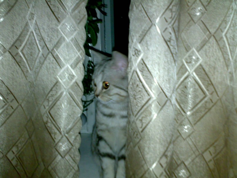 Иван Бузмаков | Кемерово