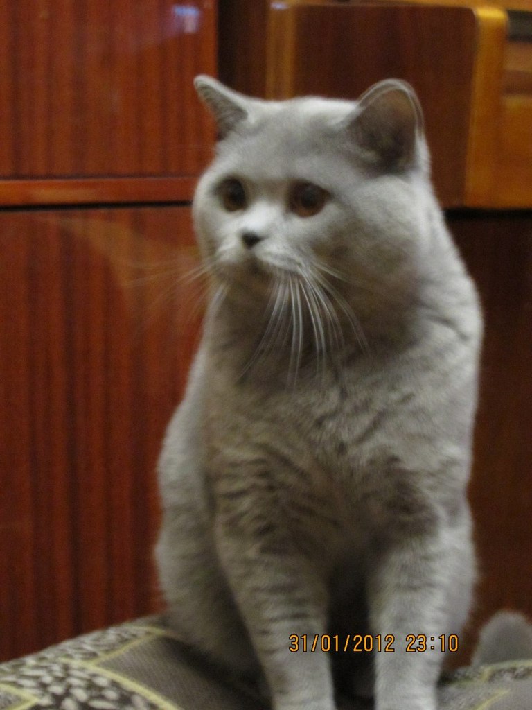 Алёна Копылова | Одесса