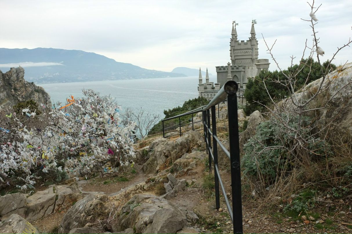 Дашкин Гаврилова malyek | Москва