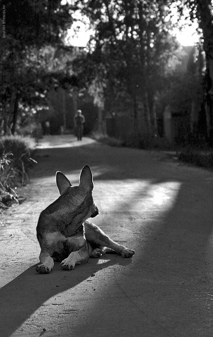 Раиль Рафиков | Уфа