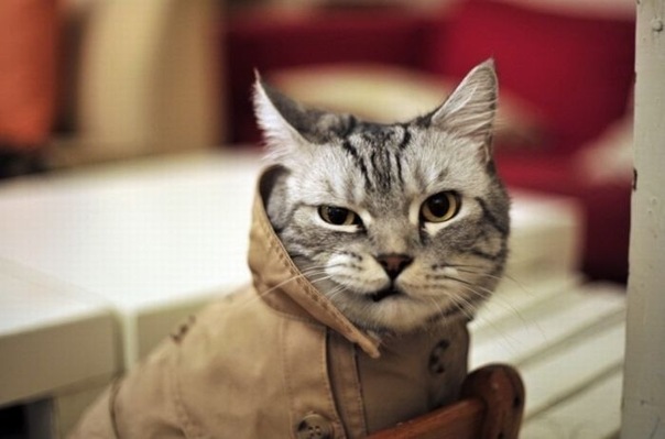 №3, Павел Пономарёв, 36 лет, Электросталь №3, Павел Пономарёв, 36 лет, Электросталь