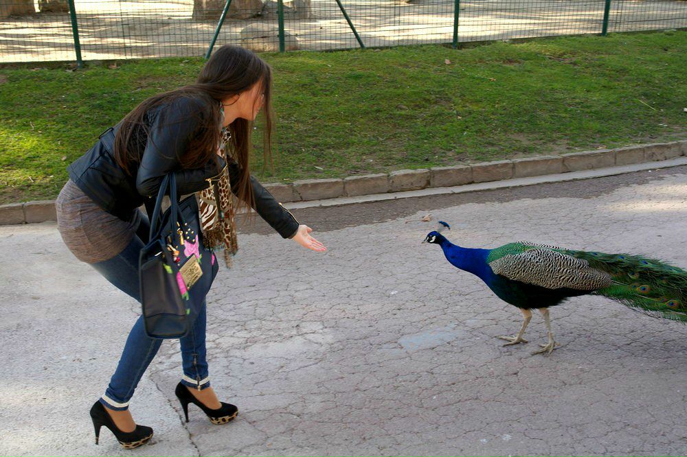 Ekaterina Strelnikova | Рига
