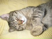 №1 Людмила Коротаевская 05.08: профиль, фото, статус - ВКонтакте №1 Людмила Коротаевская 05.08: профиль, фото, статус - ВКонтакте