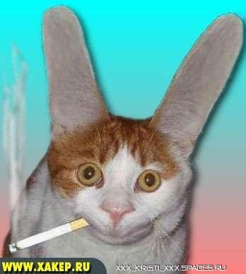 №12, Саша Лихошерст, Запорожье №12, Саша Лихошерст, Запорожье