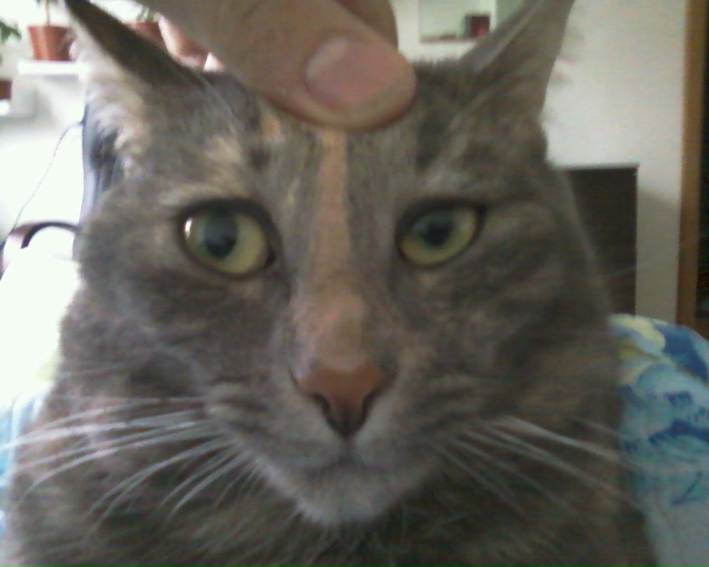 Анастасия Дьяконова | Санкт-Петербург