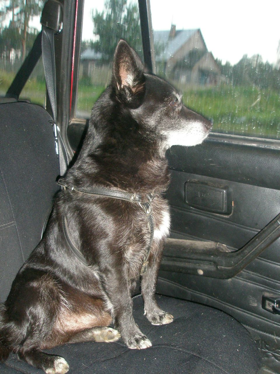 Дмитрий Савин Владимирович | Санкт-Петербург