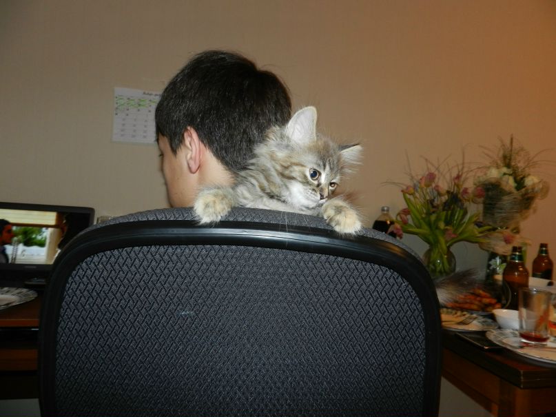 Наталия Сапожникова | Москва