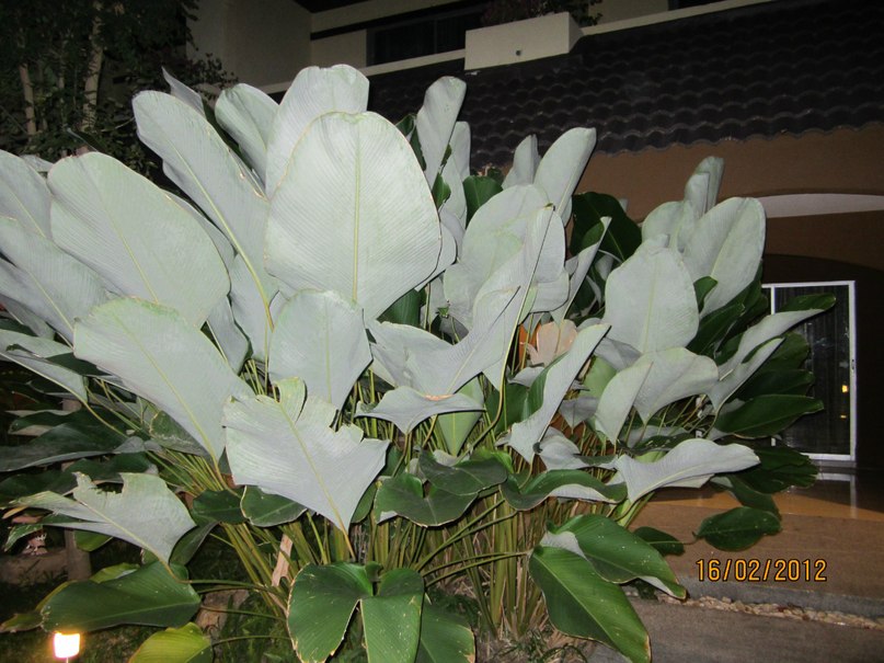 Valentina Stepanova | Санкт-Петербург