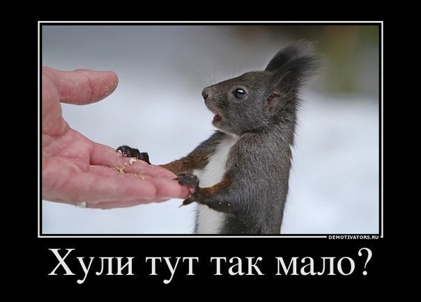 Александр Тилль | Кемерово