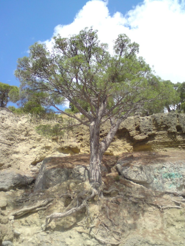 Роман Колосарь | Харьков