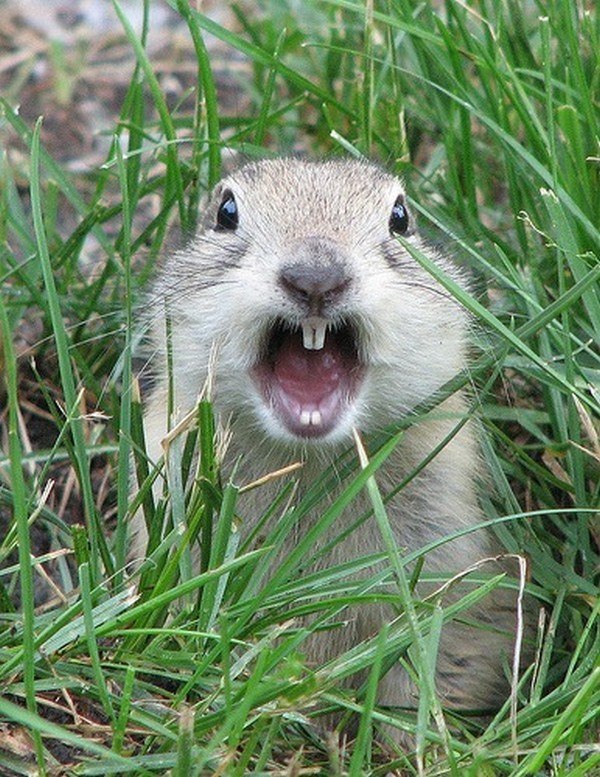 Юленька Шинкаренко КрасотуЛенька:))) | Санкт-Петербург