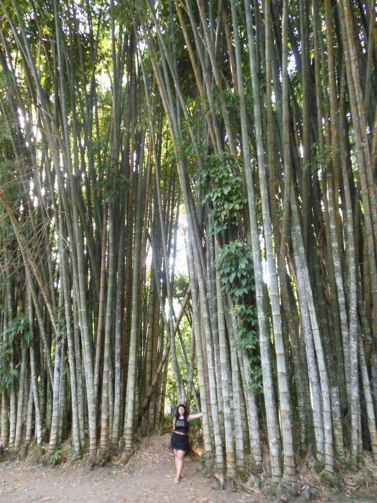 Ира Смоляр | Киев