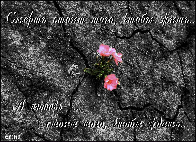 Antonina Burac | Кишинев