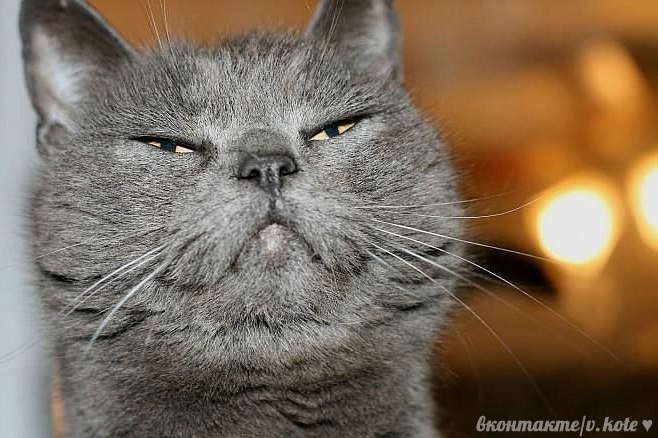 Сергей Соларёв | Пермь