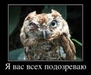 Фотография Михайлова Алексея