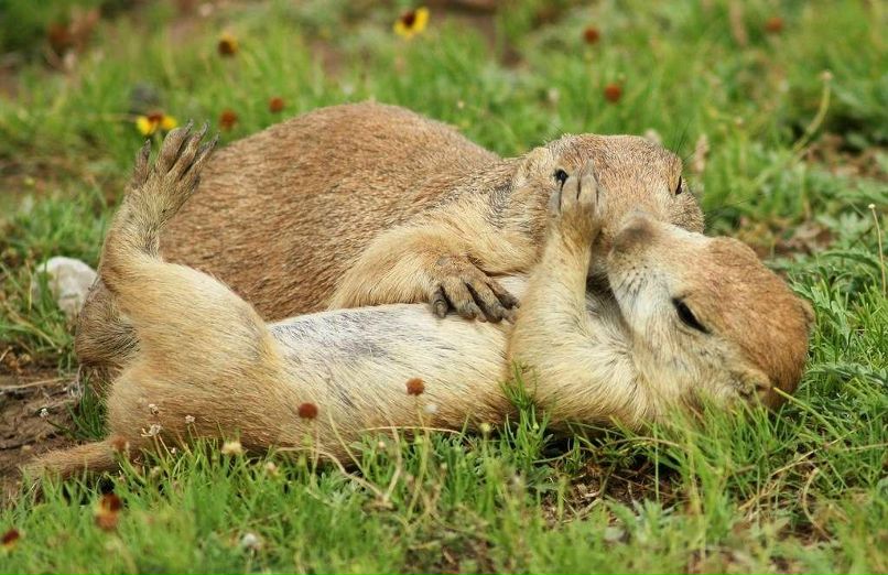Дина Зиневич | Санкт-Петербург