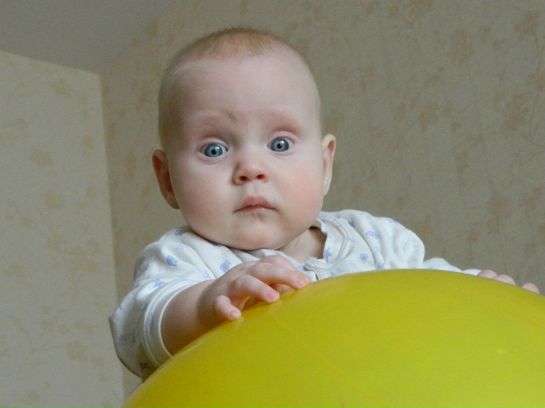 Елена Овсянникова | Минск