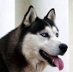 Максим Крутиков | Бийск