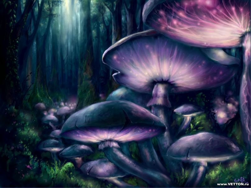 Юлия Васютинская Ma Deva Yoko | Москва