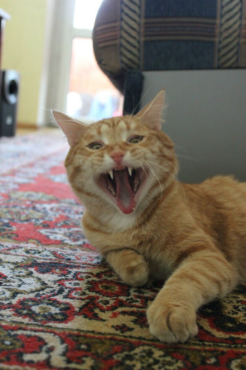 Серёжа Стулов | Москва