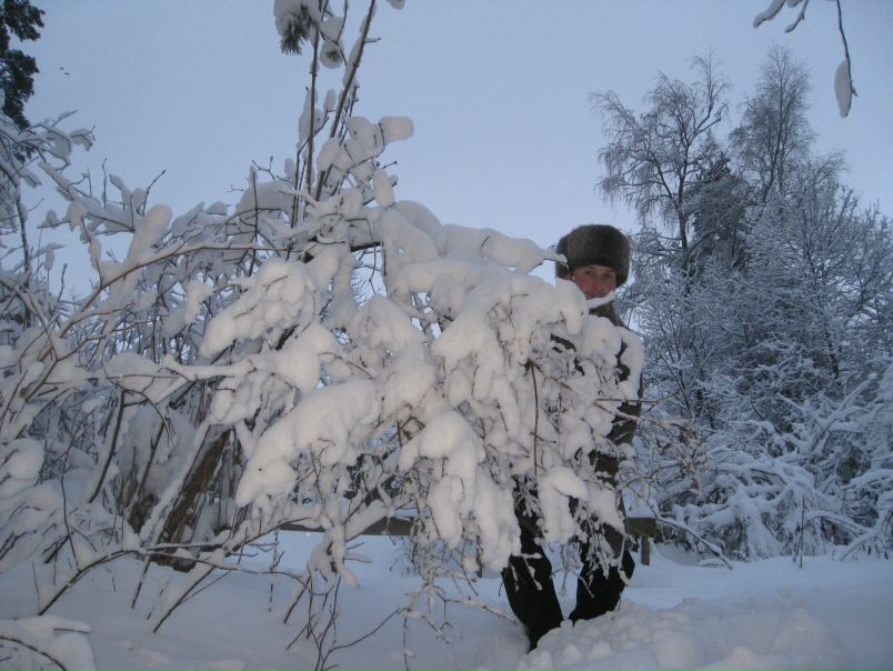 №63, Иван Вениаминович, Снегиревка №63, Иван Вениаминович, Снегиревка