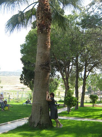 №60, Наталия Будякова, Санкт-Петербург №60, Наталия Будякова, Санкт-Петербург