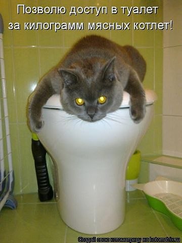 Маргарита Брель | Санкт-Петербург