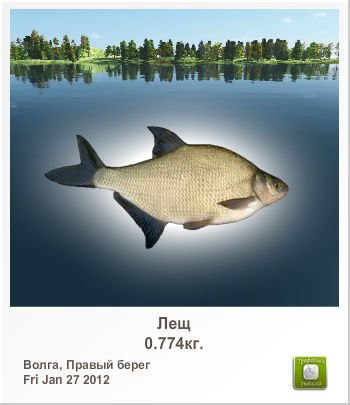 Сергей Шихов | 