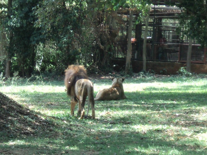 Сергей Дидух | Броды