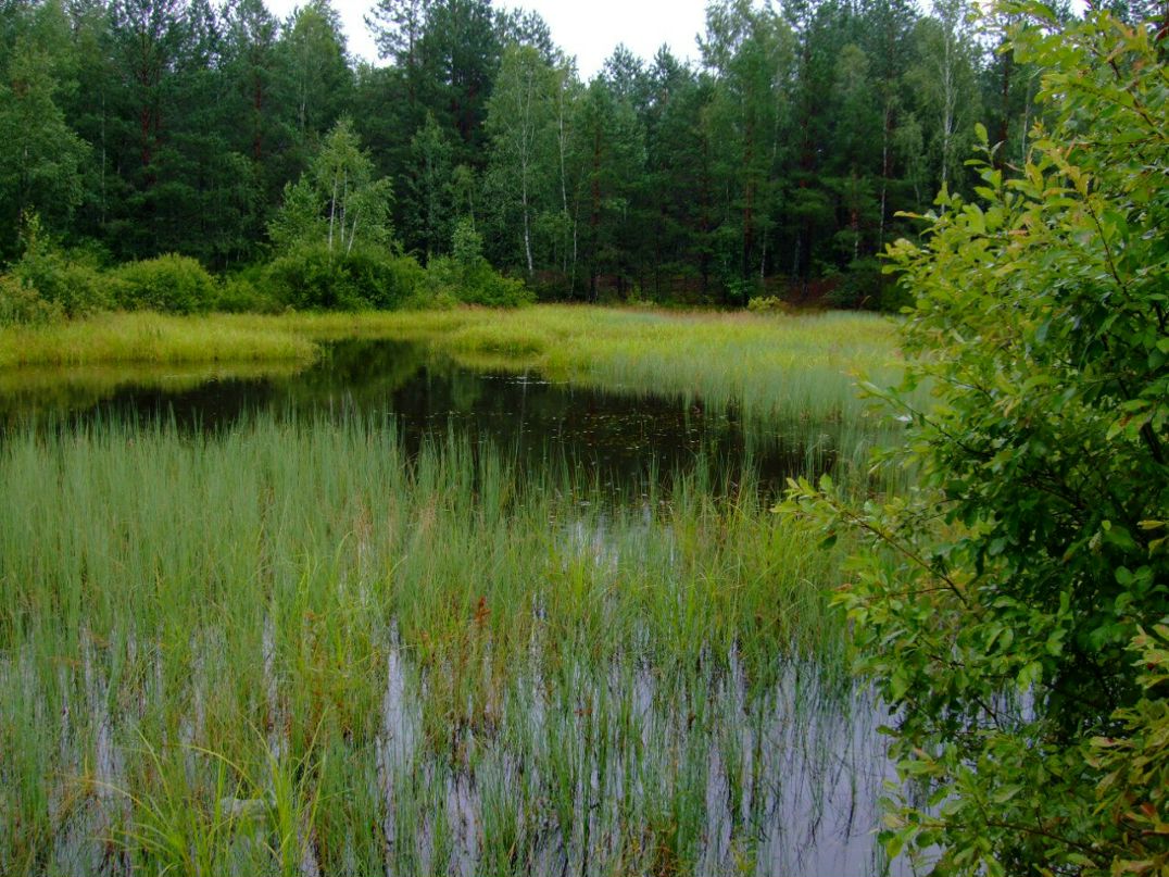 Татьяна Ачаповская | Санкт-Петербург