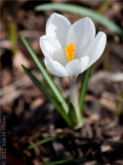 Наталья Борина | 