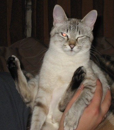 Марина Сударикова | 