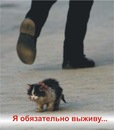 Фотография Избицкой Анастасии