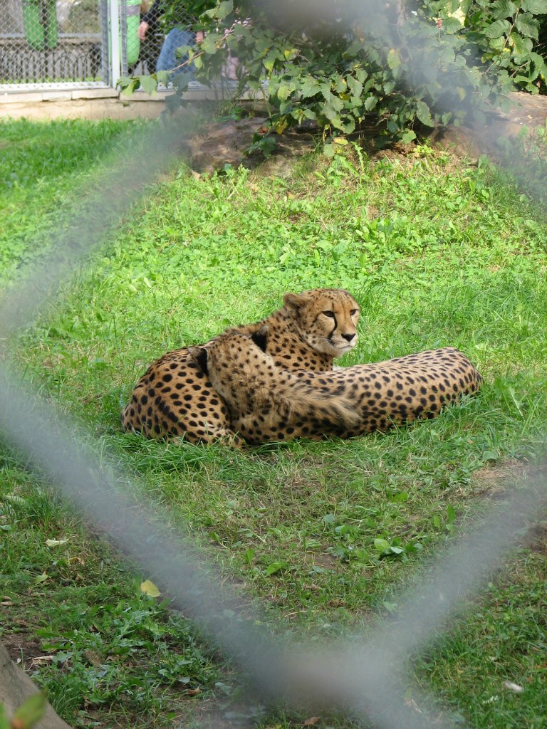 Николай Зырянов | Екатеринбург