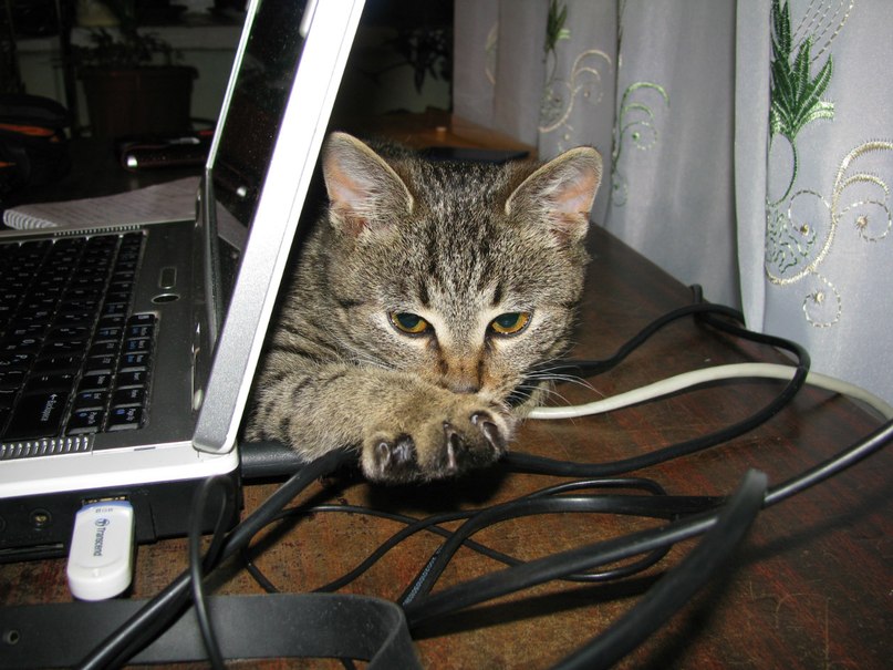 Анна Троян-Степанюк | Сумы