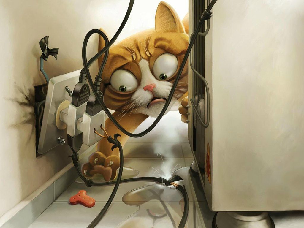 Andrii Goncharov | Тернополь