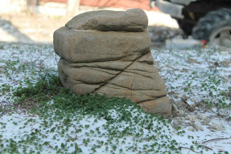 Диана Лозинская | Новороссийское