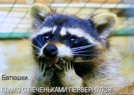 Андрей Цоль Андреевич | Лянтор