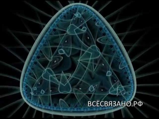 Всё связано