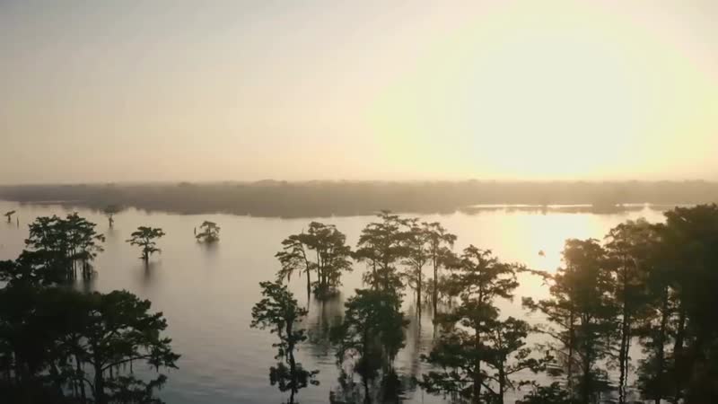 UFC Вегас 4 Порье vs Хукер Превью ( 720 X 720 ).