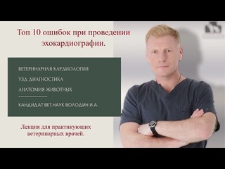 Топ 10 ошибок при проведении эхокардиографии.
