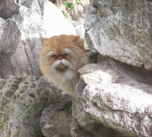 Роман Уваров | Сыктывкар