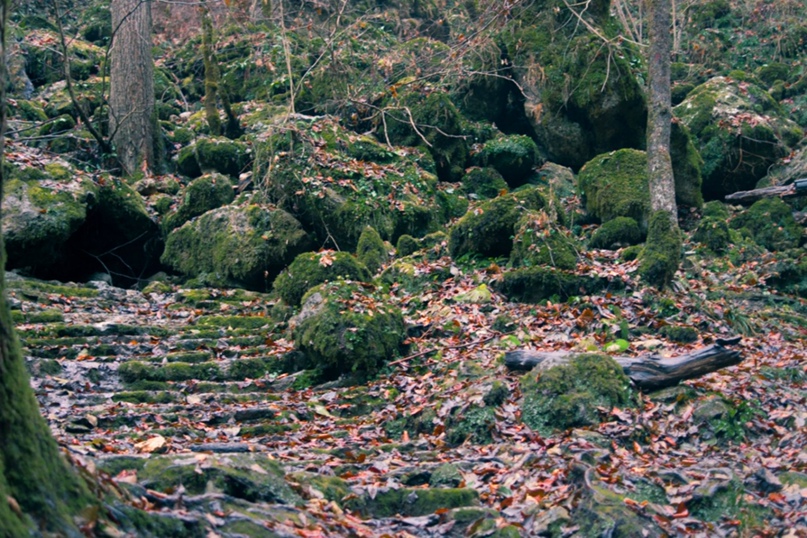 Роман Ефимов | Ростов-на-Дону