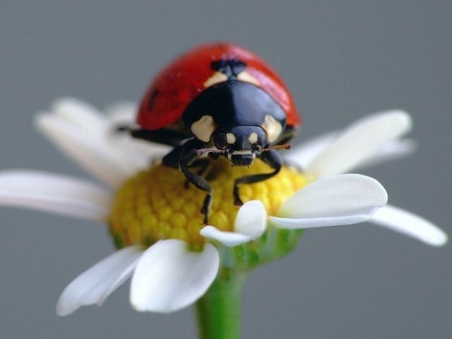 Вероника Максимова | Казань